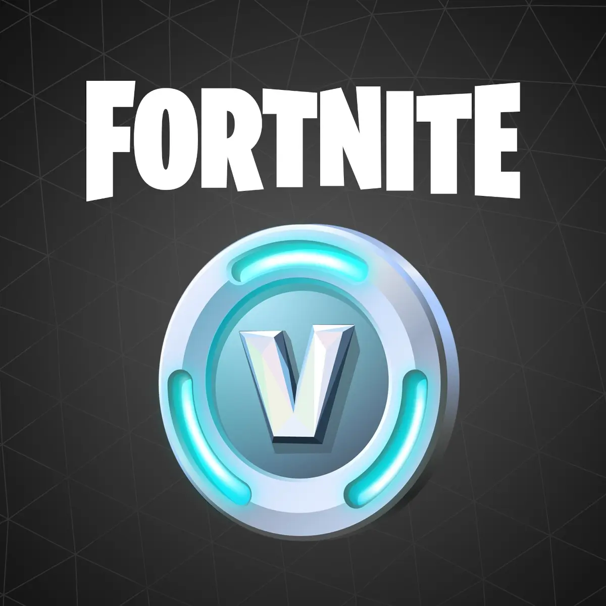 Fortnite V-Papel 5 TL