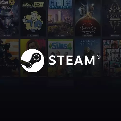Steam