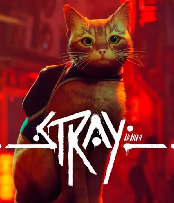 Stray TR Steam CD Key